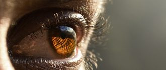 eye twitching or myokymia