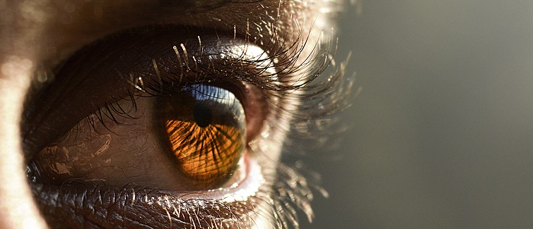 eye twitching or myokymia