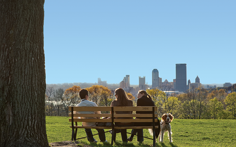 dog-skyline