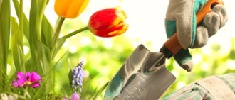 gardening