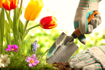 gardening