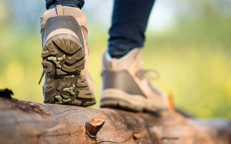 Learn more about how to identify Lyme Disease