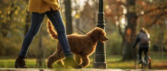 Although walking is an effective lifelong workout option, it sometimes results in injury. Use these tips to avoid injury.