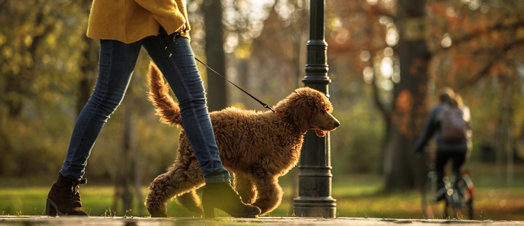 Although walking is an effective lifelong workout option, it sometimes results in injury. Use these tips to avoid injury.