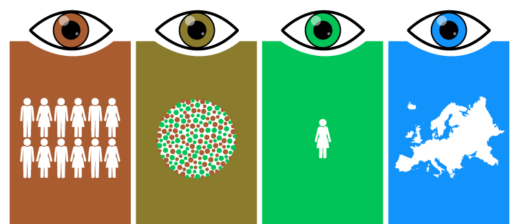 All about eye color