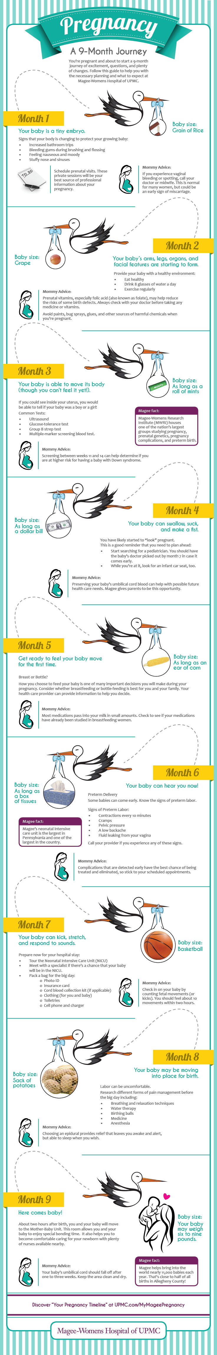 Pregnancy Timeline A detailed pregnancy timeline, from month 1 to month 9.