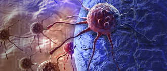cancer cells
