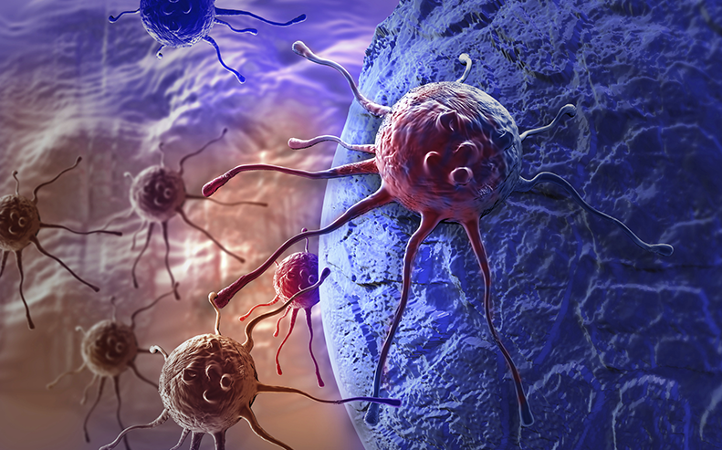 cancer cells