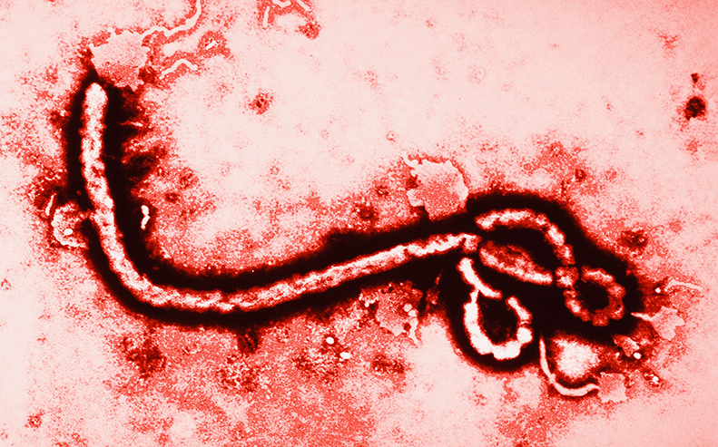 ebola