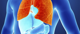 inflamed lungs graphic
