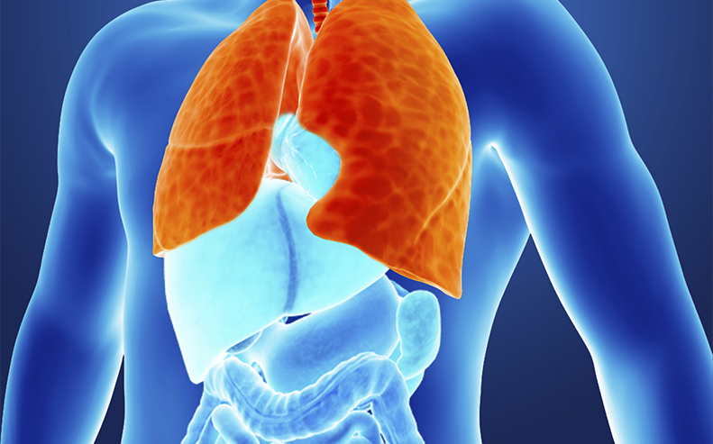 inflamed lungs graphic