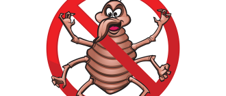 no more bed bugs