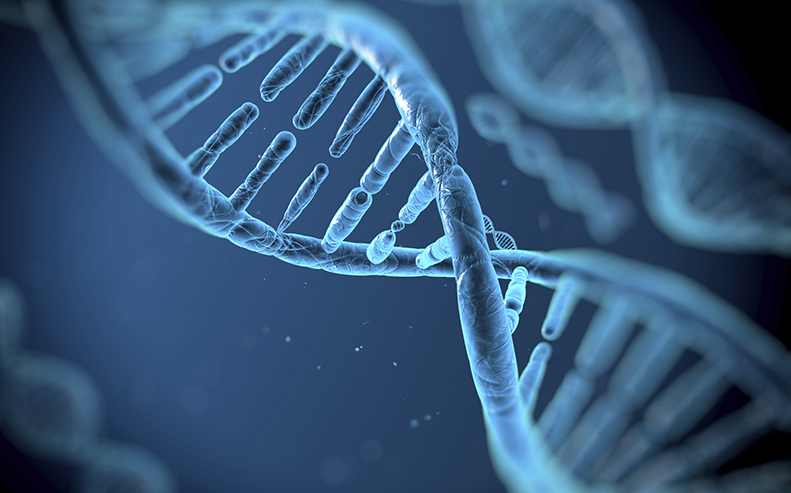 dna