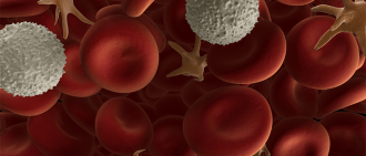 blood cells