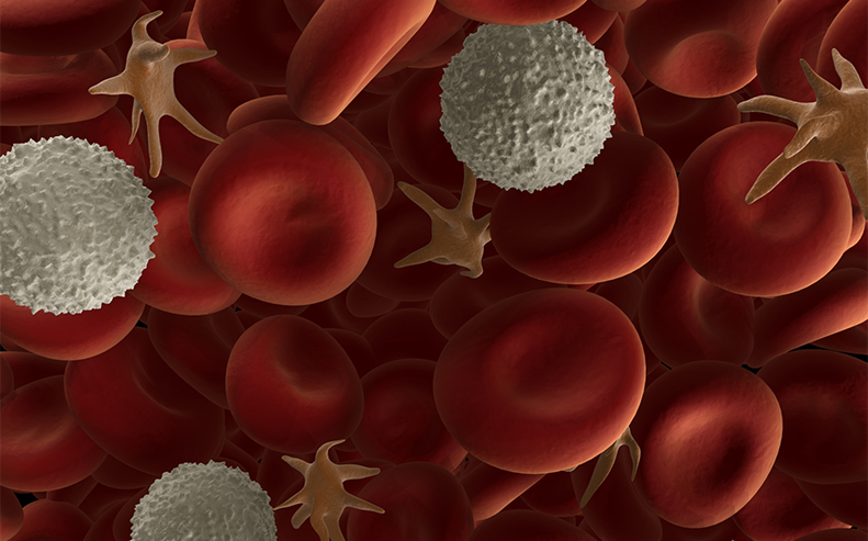 blood cells