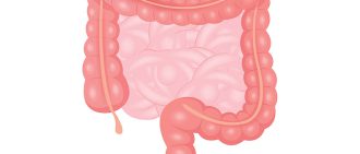 intestines