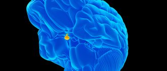 pituitary gland