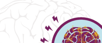 seizure safety