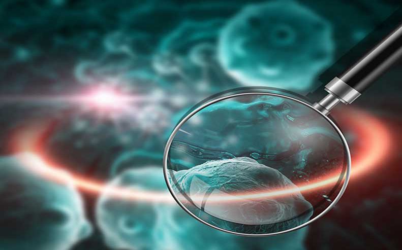 cancer cells