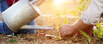 two people gardening