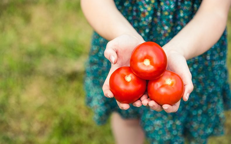 Tomatoes and a healthy diet