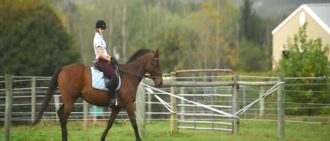 Learn more about Katie's recovery from concussion