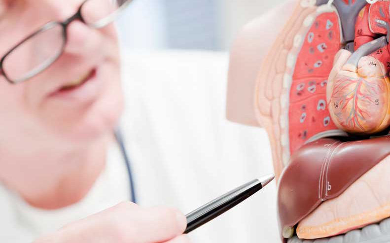 Learn if you can live without a liver