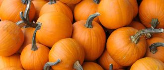 Pumpkins are a healthy food