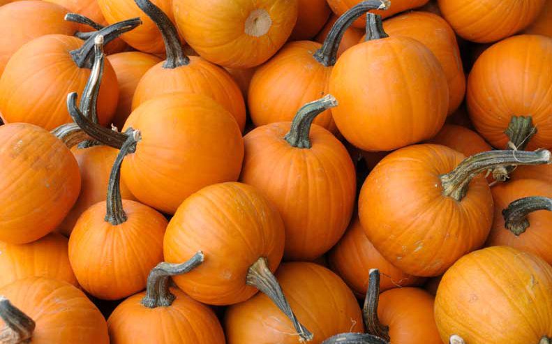 Pumpkins are a healthy food
