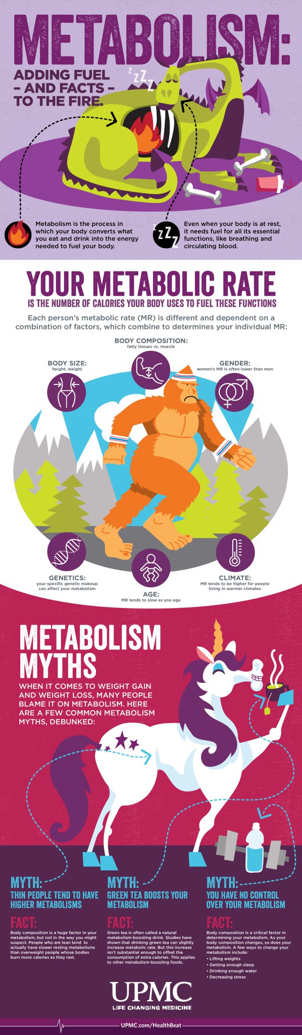 Learn more about how your metabolism functions