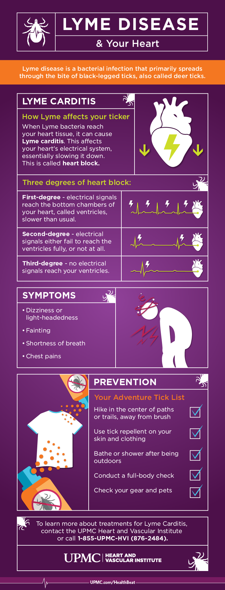 Lyme carditis: Learn about Lyme disease and the heart