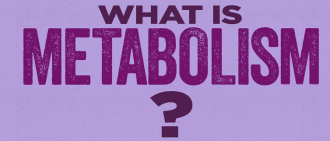 metabolism myths