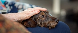 Learn how pet therapy helps those facing cancer