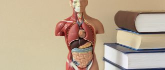 What is vascular calcification?
