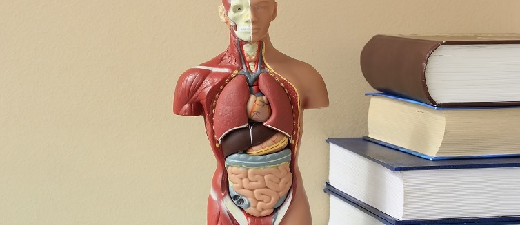 What is vascular calcification?