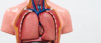 Learn more about Ex Vivo lung perfusion.