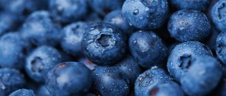 Learn more about foods that can help prevent cancer