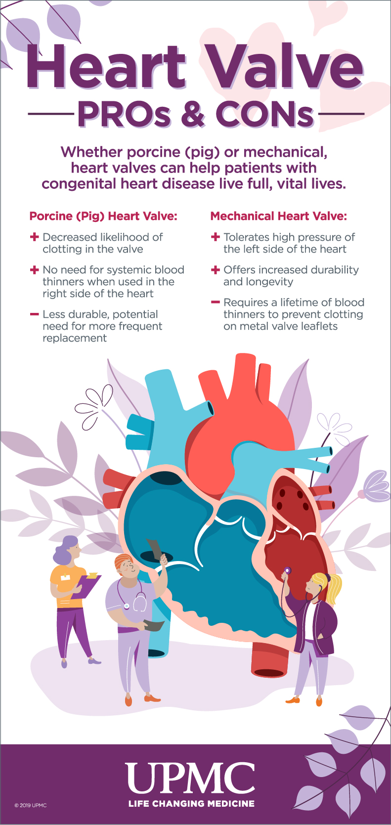 Learn more about heart valve transplant options. 