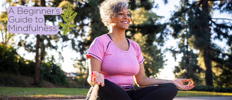 mindfulness meditation hub