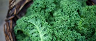 Most Nutrient-Dense Vegetables
