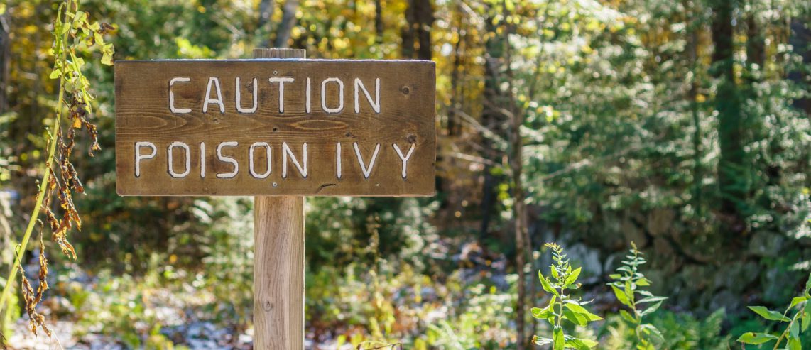 How to treat poison ivy at home.