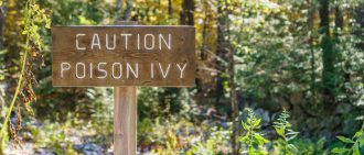 How to treat poison ivy at home.