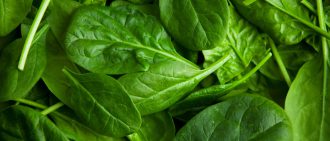 Learn more about the importance of folic acid.