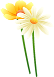 Yellow flowers